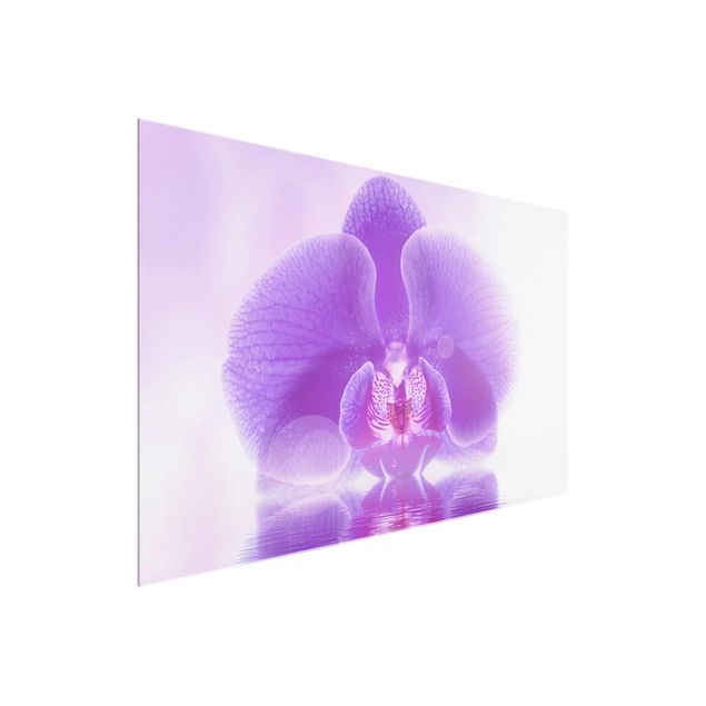 Quadros em vidro flores Purple Orchid On Water