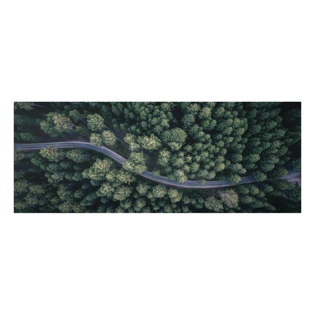 quadro da natureza Aerial View - Forest Road From The Top