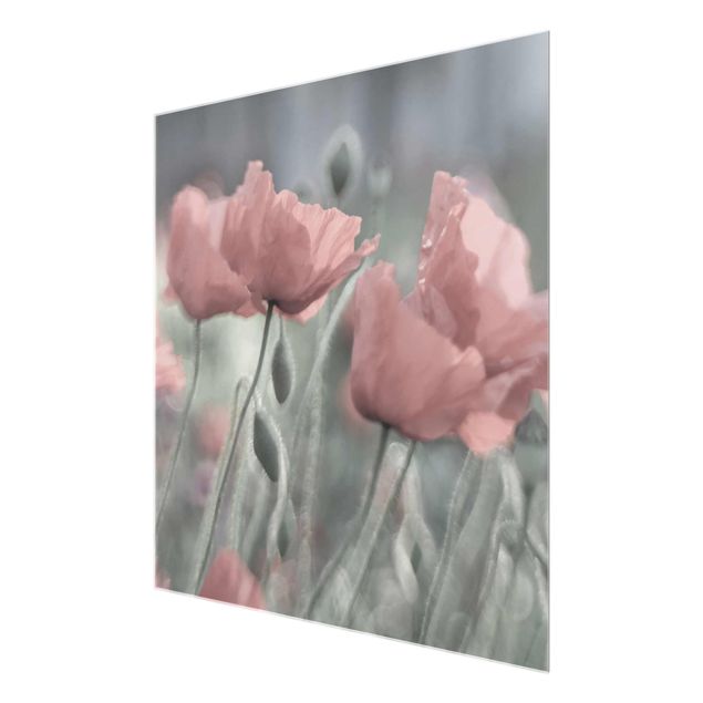 quadros de flores Picturesque Poppy