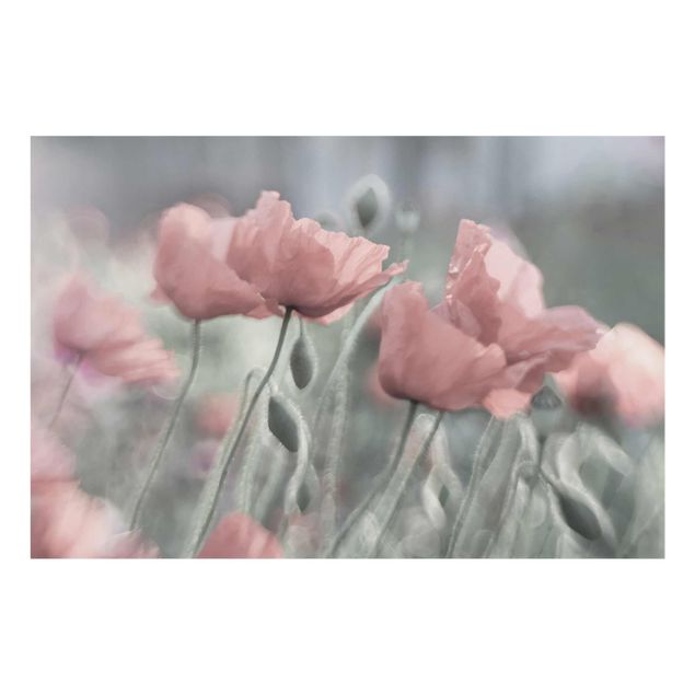 Quadros florais Picturesque Poppy