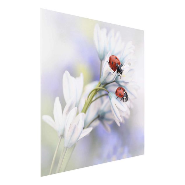 quadros flores Ladybird Couple