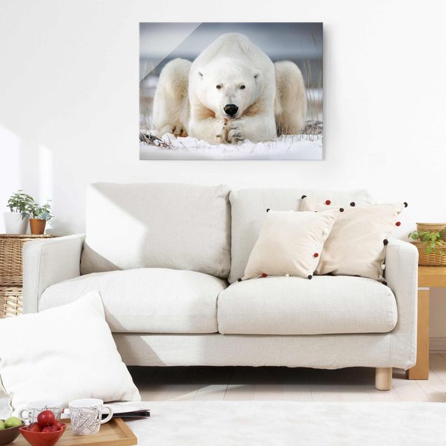 decoraçoes cozinha Contemplative Polar Bear