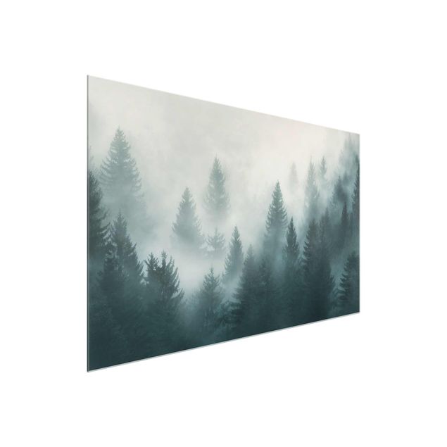Quadros em vidro paisagens Coniferous Forest In Fog