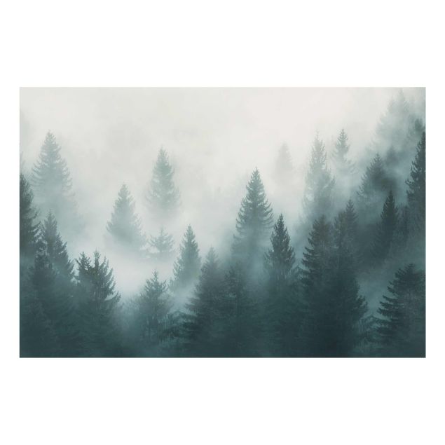 Quadros natureza Coniferous Forest In Fog