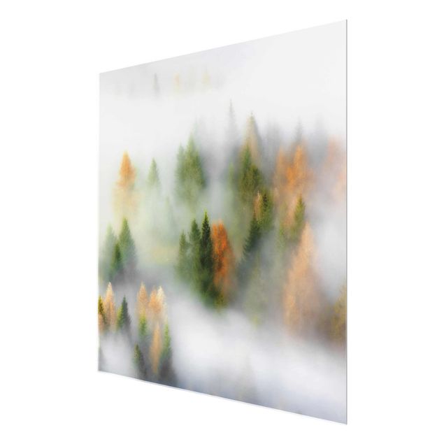 quadros decorativos para sala modernos Cloud Forest In Autumn