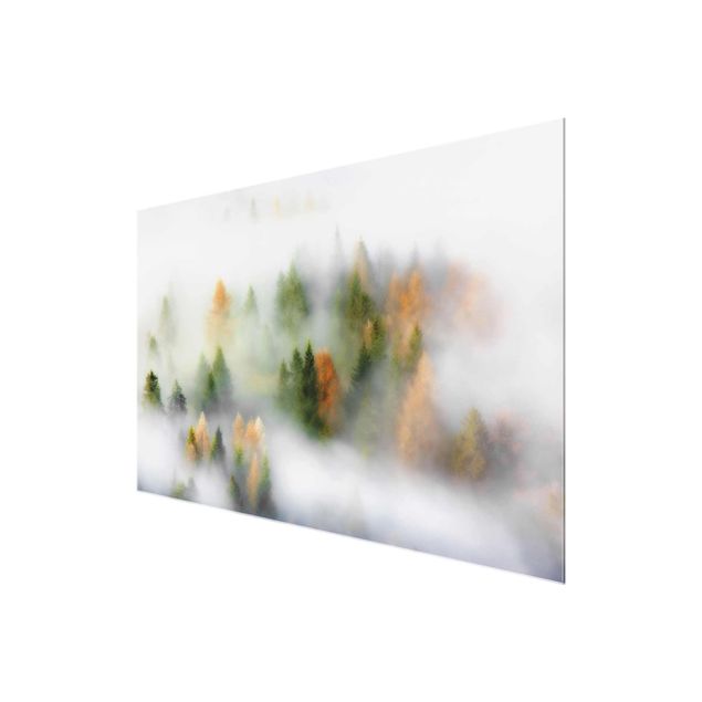 quadros decorativos para sala modernos Cloud Forest In Autumn