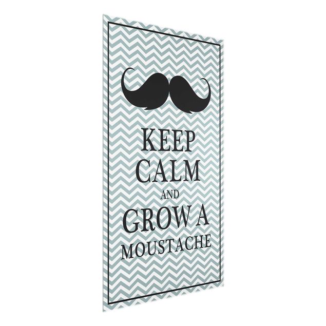 Quadros modernos Keep Calm and Grow a Moustache