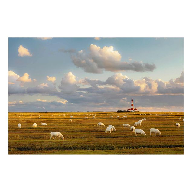 Quadros natureza North Sea Lighthouse With Flock Of Sheep