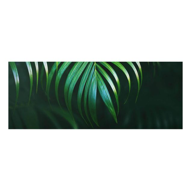 quadros decorativos verde Palm Fronds