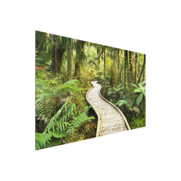 quadros 3d efeito tridimensional Path In The Jungle