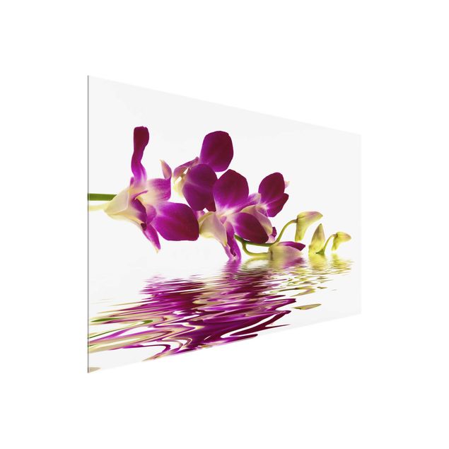 Quadros em vidro flores Pink Orchid Waters