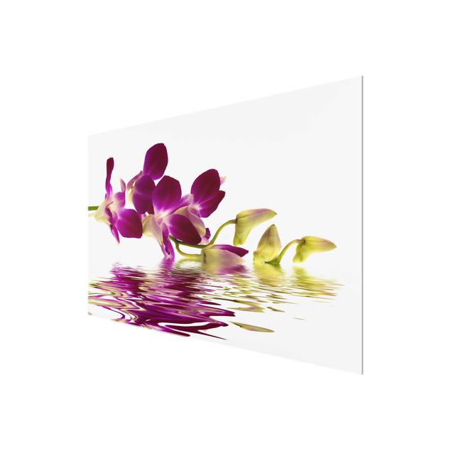 quadros flores Pink Orchid Waters