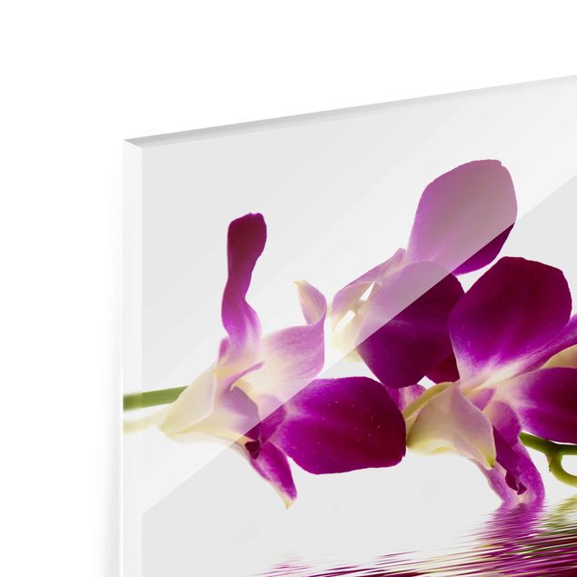 quadro em vidro Pink Orchid Waters