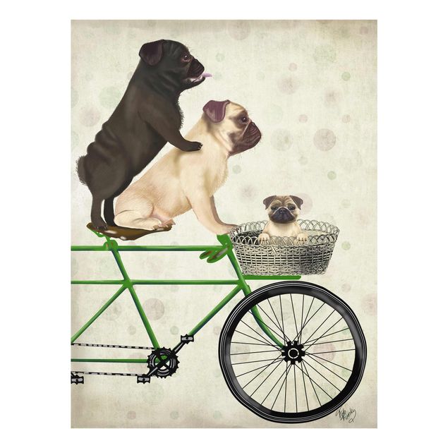 Quadros verdes Cycling - Pugs On Bike