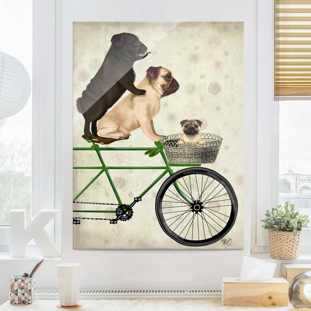 decoraçoes cozinha Cycling - Pugs On Bike