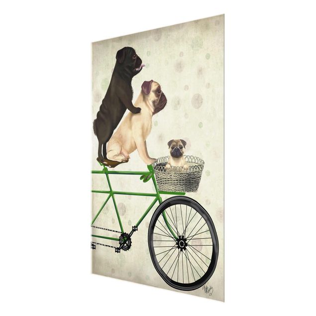 Quadros decorativos Cycling - Pugs On Bike