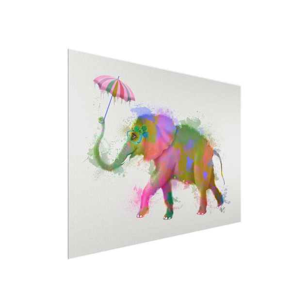 quadros modernos para quarto de casal Rainbow Splash Elephant