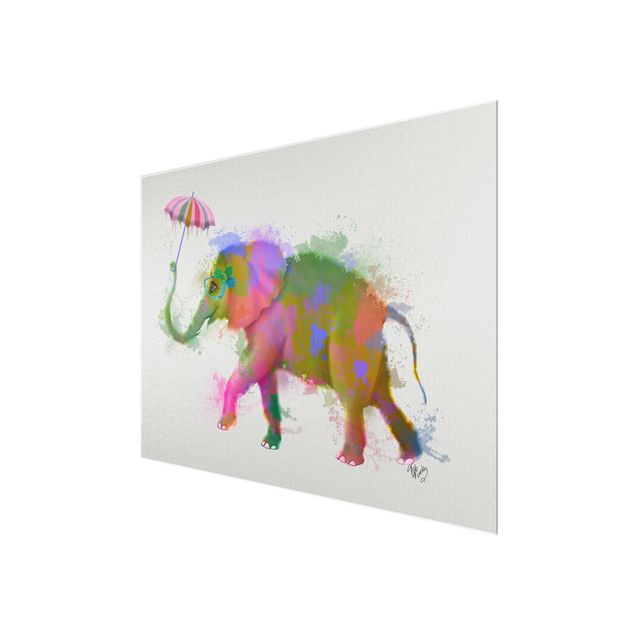 Quadros multicoloridos Rainbow Splash Elephant