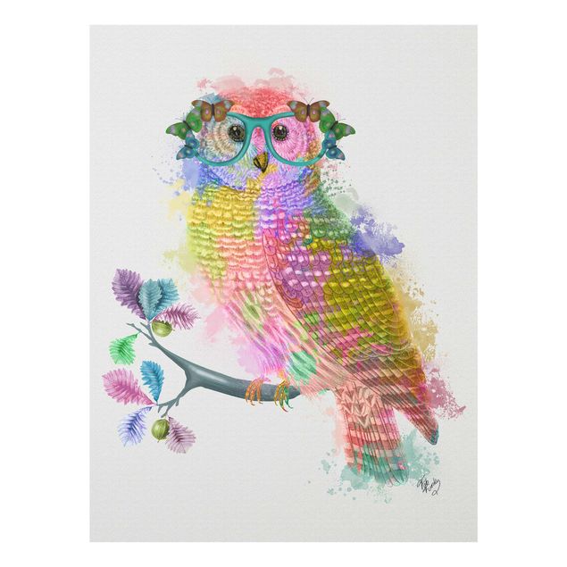 Quadros decorativos Rainbow Splash Owl