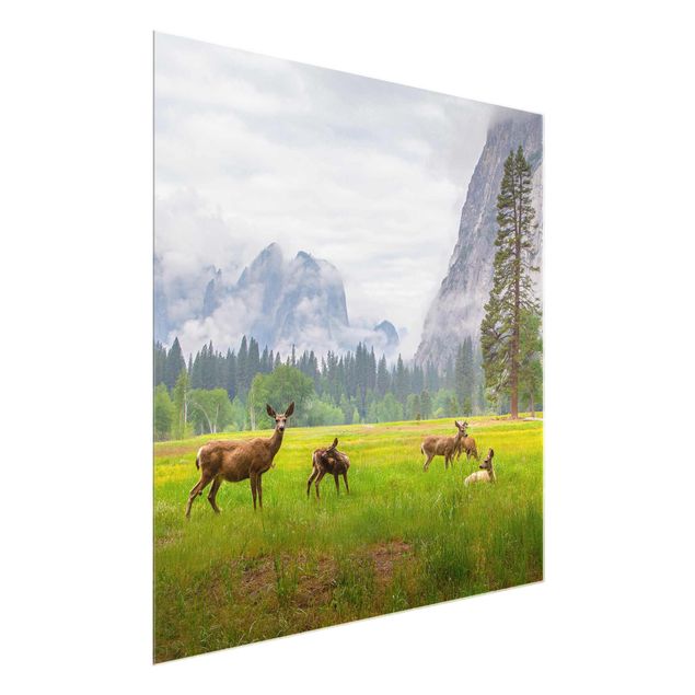 quadro com paisagens Deer In The Mountains