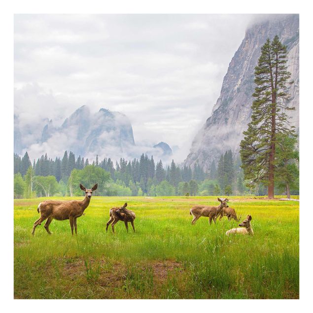Quadros em vidro paisagens Deer In The Mountains