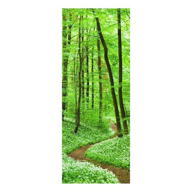 quadro da natureza Romantic Forest Track