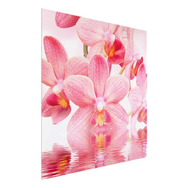 Quadros em vidro flores Light Pink Orchid On Water