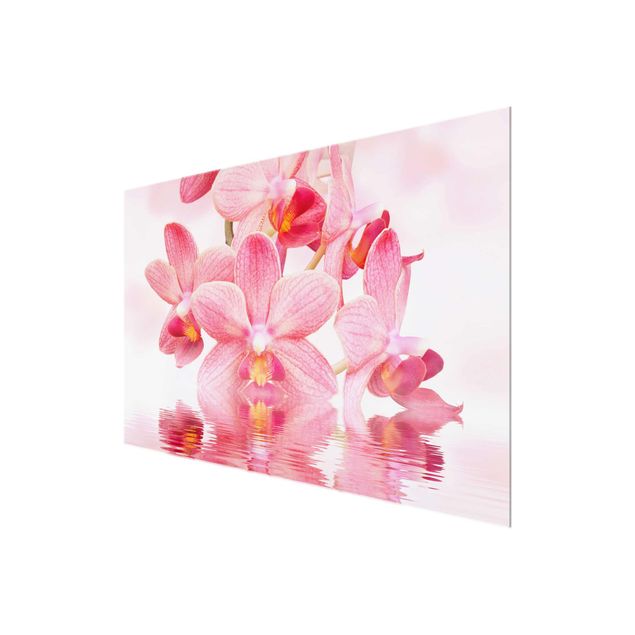 quadros flores Light Pink Orchid On Water
