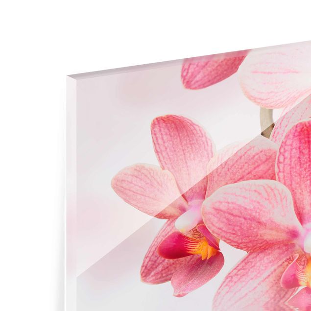 quadro em vidro Light Pink Orchid On Water