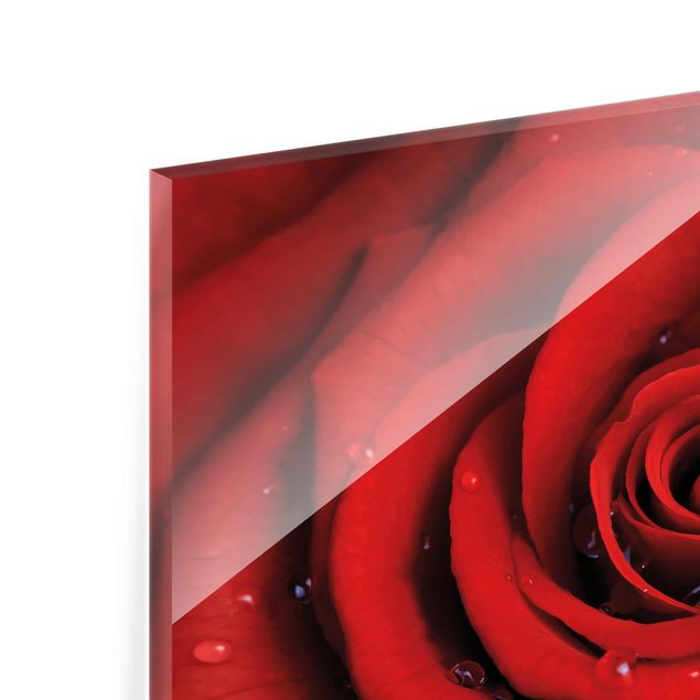 quadro de vidro Red Rose With Water Drops