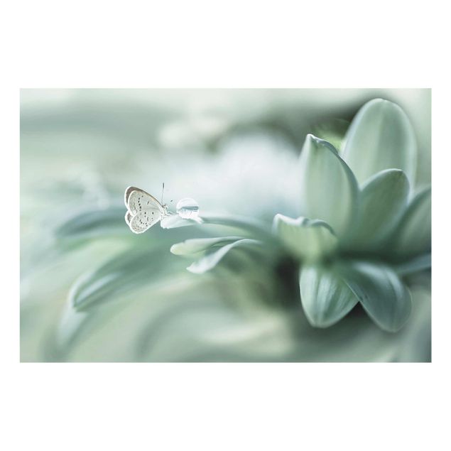 quadros flores Butterfly And Dew Drops In Pastel Green