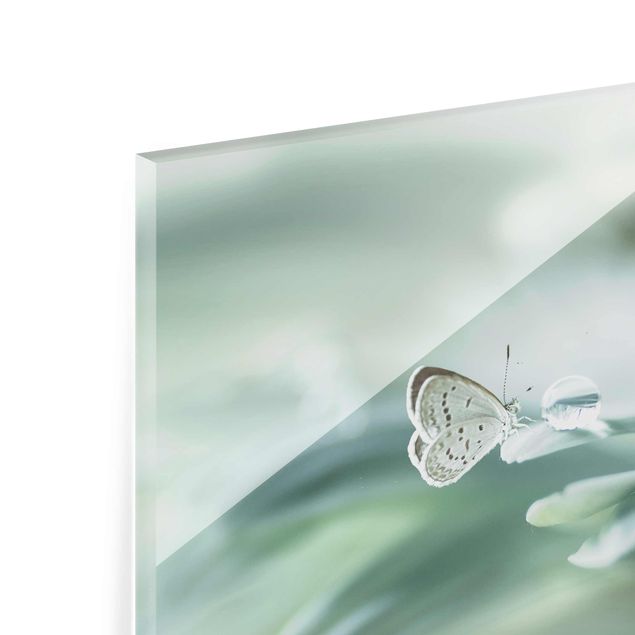 quadros para parede Butterfly And Dew Drops In Pastel Green