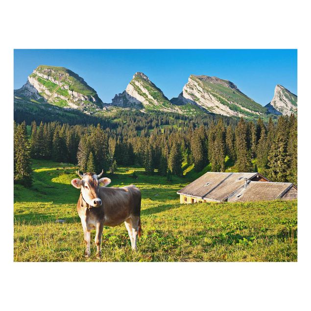 Quadros montanhas Swiss Alpine Meadow With Cow