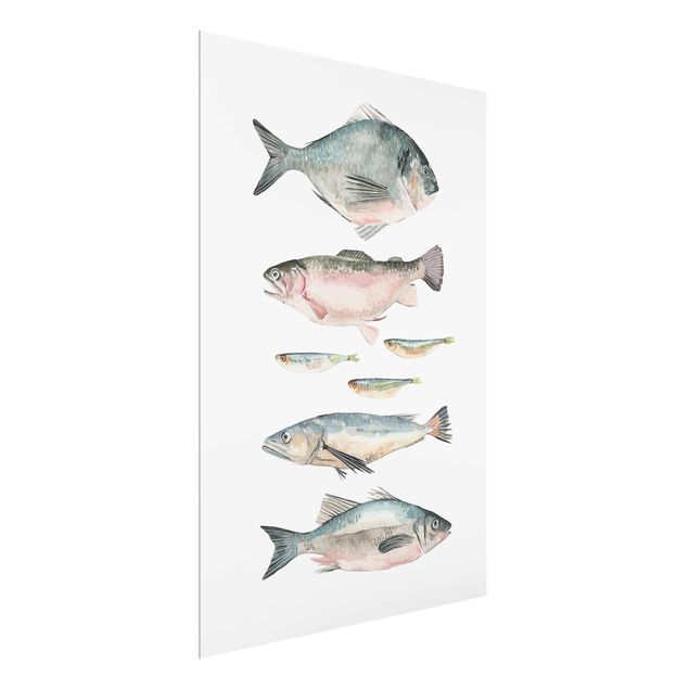 quadros modernos para quarto de casal Seven Fish In Watercolour II