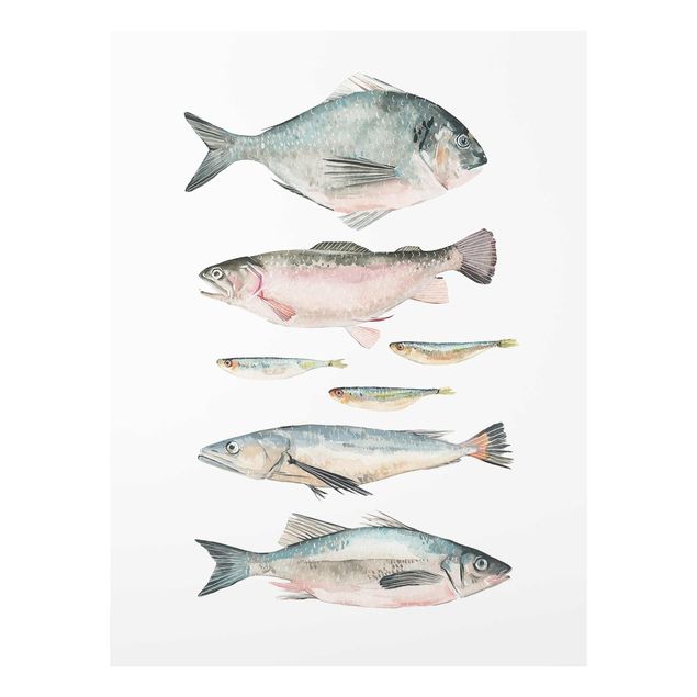 quadro animais quarto bebé Seven Fish In Watercolour II