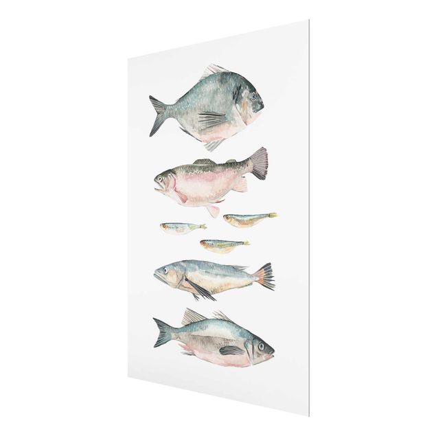 decoração quadros Seven Fish In Watercolour II
