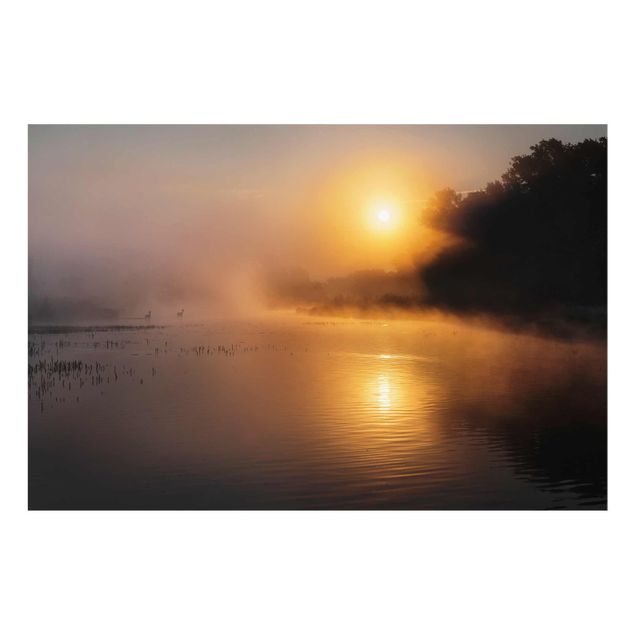 quadros modernos para quarto de casal Sunrise on the lake with deers in the fog
