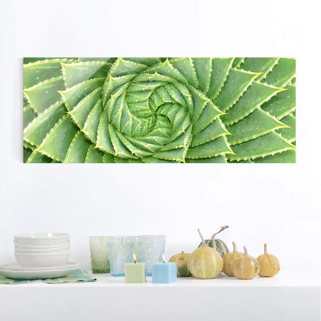 decoraçao para parede de cozinha Spiral Aloe