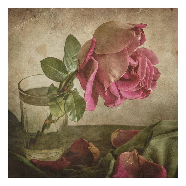 quadro com flores Tear Of A Rose