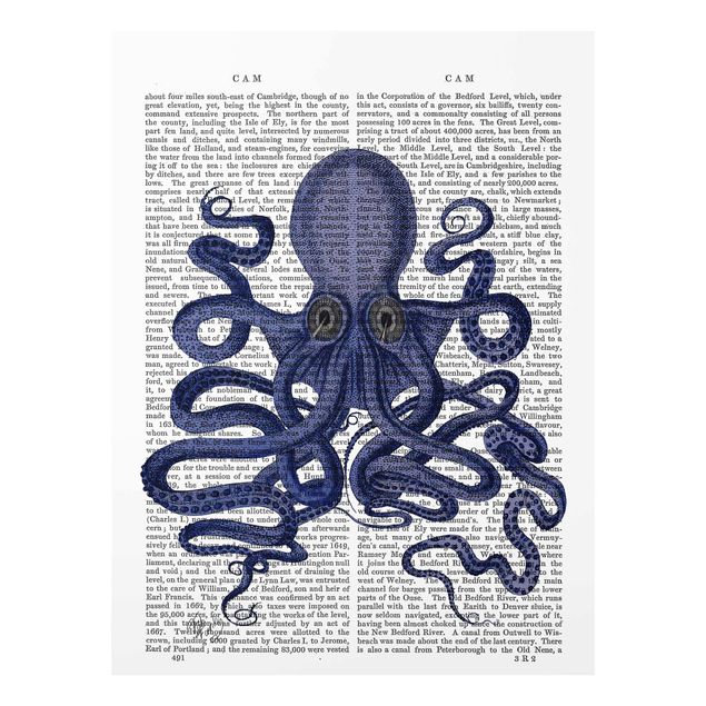 quadro azul Animal Reading - Octopus