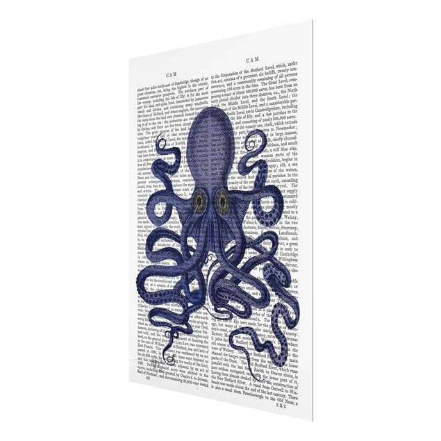 Quadros decorativos Animal Reading - Octopus