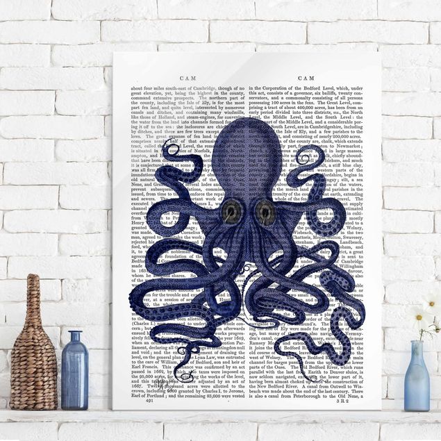 decoraçoes cozinha Animal Reading - Octopus