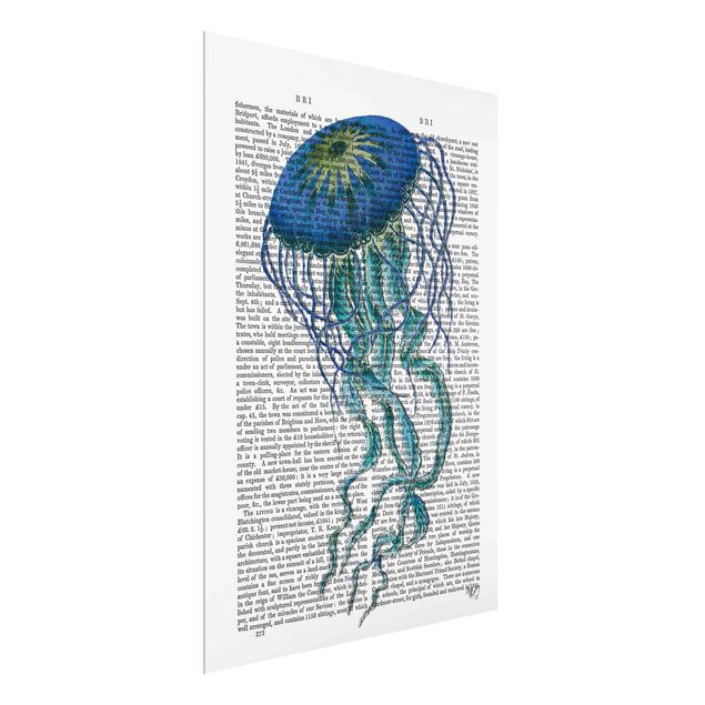 quadro com frases inspiradoras Animal Reading - Jellyfish