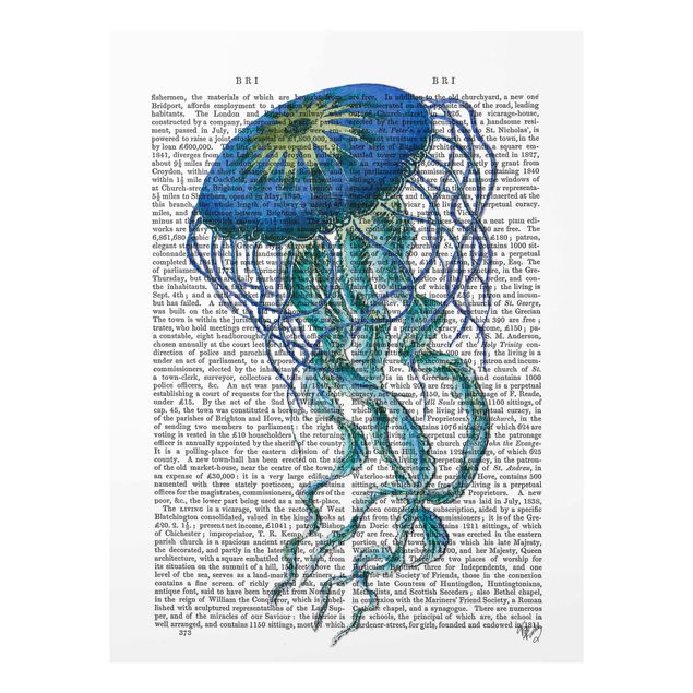 quadros azuis Animal Reading - Jellyfish