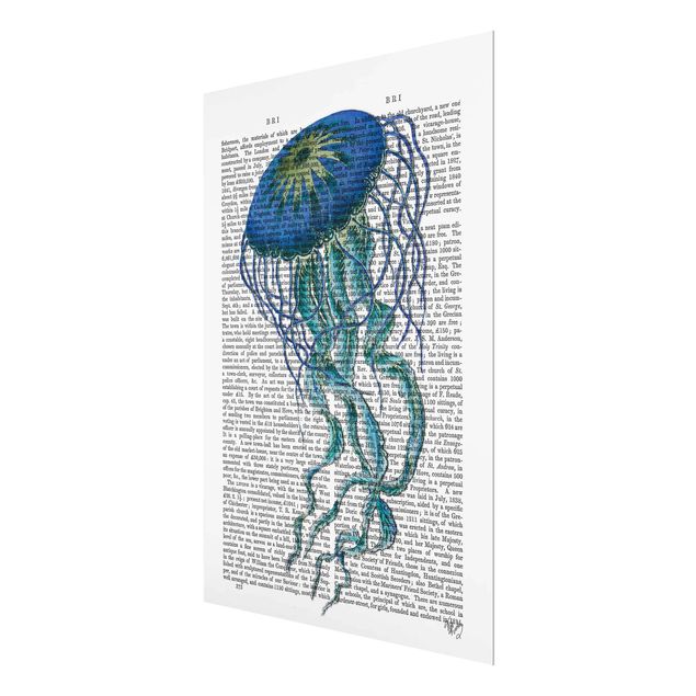 quadros para parede Animal Reading - Jellyfish
