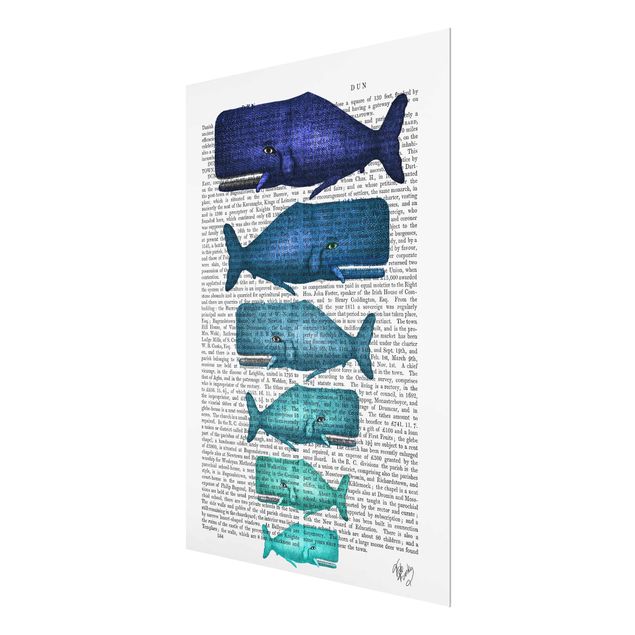 Quadros decorativos Animal Reading - Whale Family