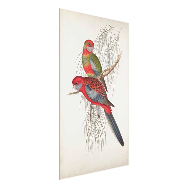 quadros de flores Tropical Parrot III