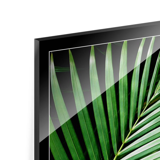Quadros em vidro Tropical Palm Leaf
