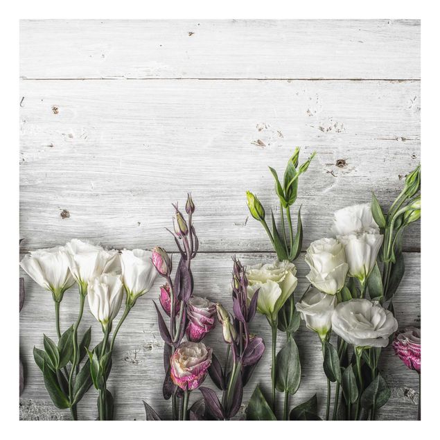 quadro com flores Tulip Rose Shabby Wood Look