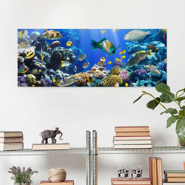 decoraçao para parede de cozinha Underwater Reef